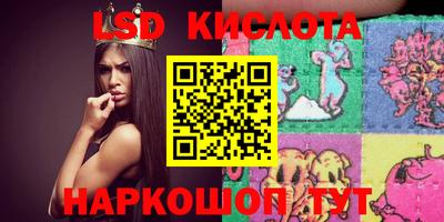 Альфа ПВП Новодвинск