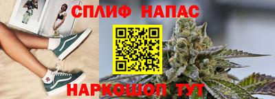 Альфа ПВП Новодвинск