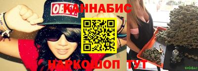 Альфа ПВП Новодвинск
