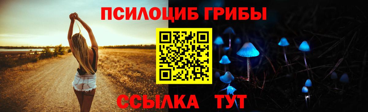 где купить наркотик  Псилоцибиновые грибы ЛСД  Вход с VPN  Северобайкальск  Галлюциногенные грибы Psilocybe 